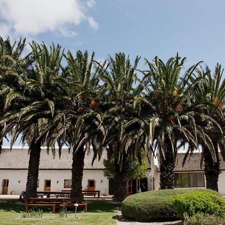 Springfontein Wine Estate Hotel Stanford Kültér fotó