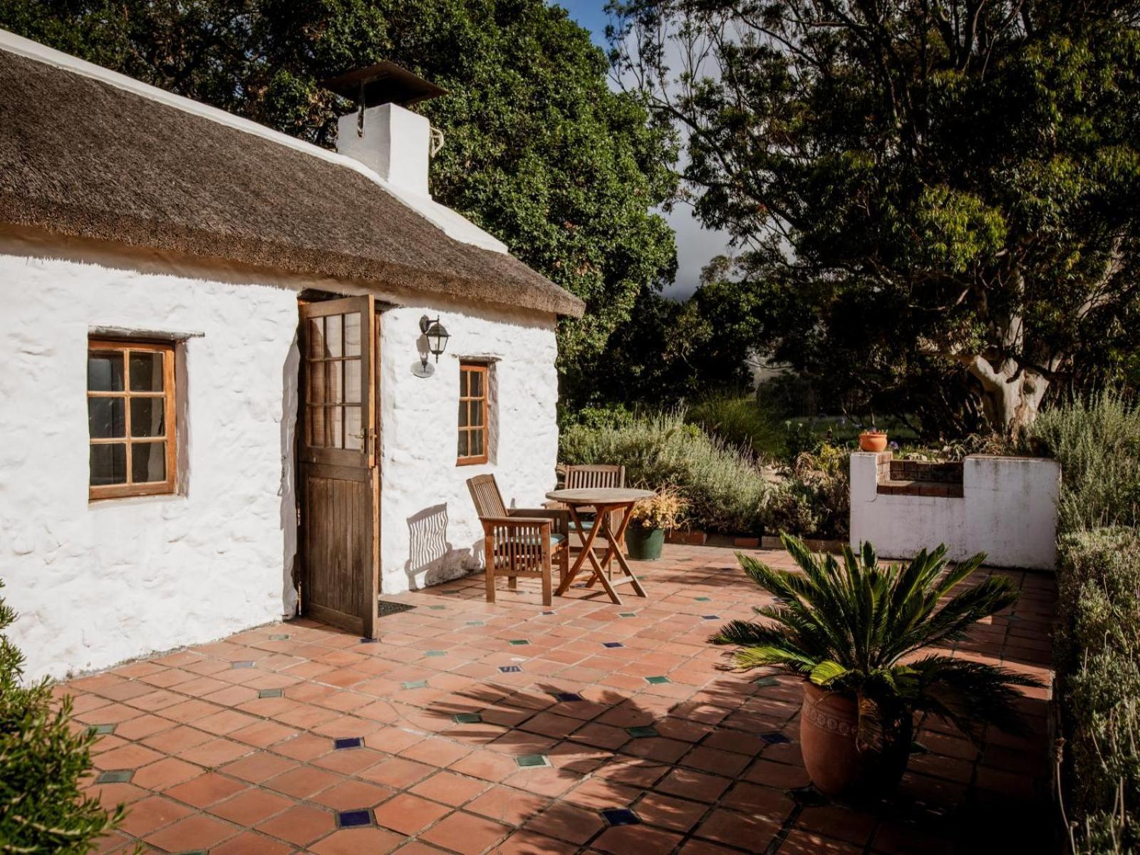 Springfontein Wine Estate Hotel Stanford Kültér fotó