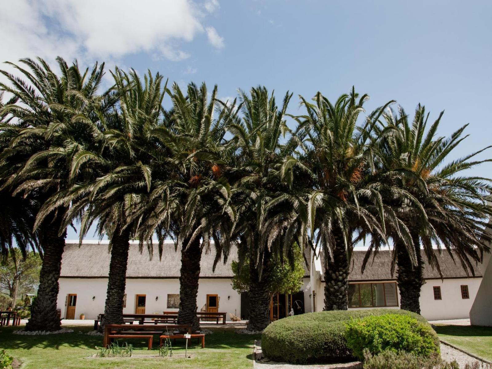Springfontein Wine Estate Hotel Stanford Kültér fotó