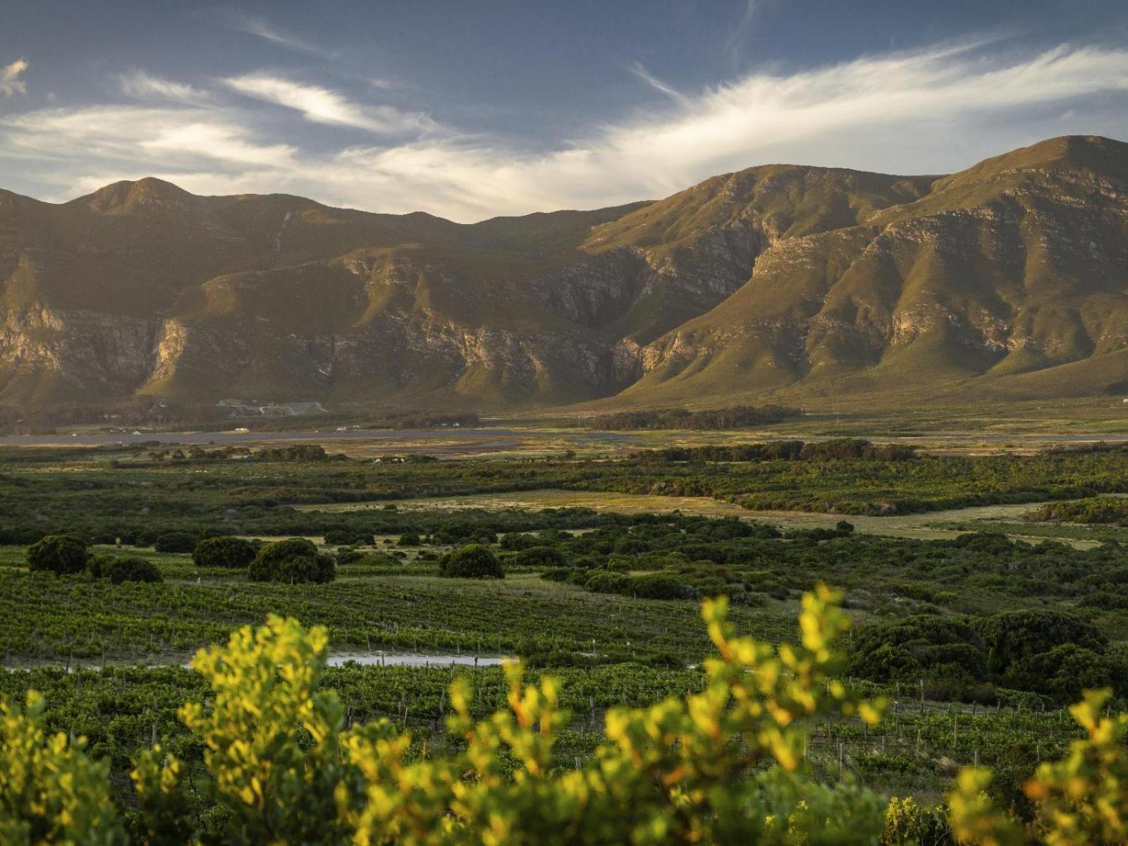 Springfontein Wine Estate Hotel Stanford Kültér fotó