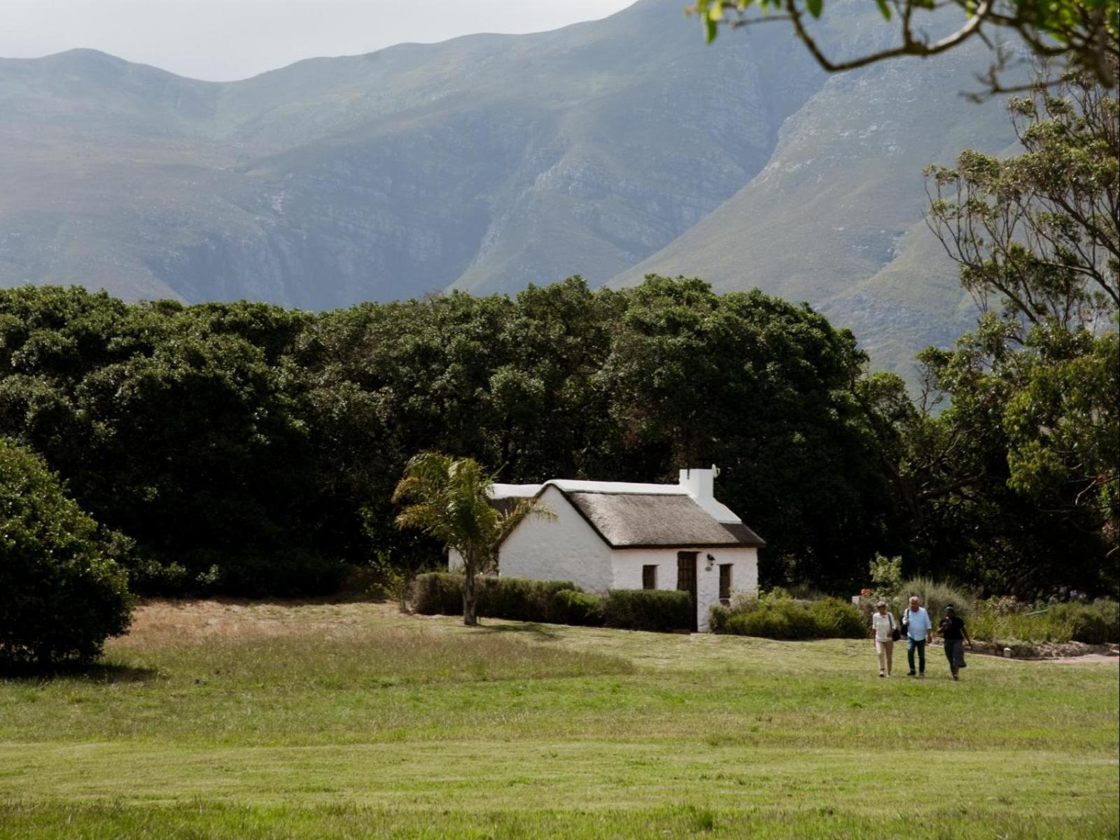 Springfontein Wine Estate Hotel Stanford Kültér fotó