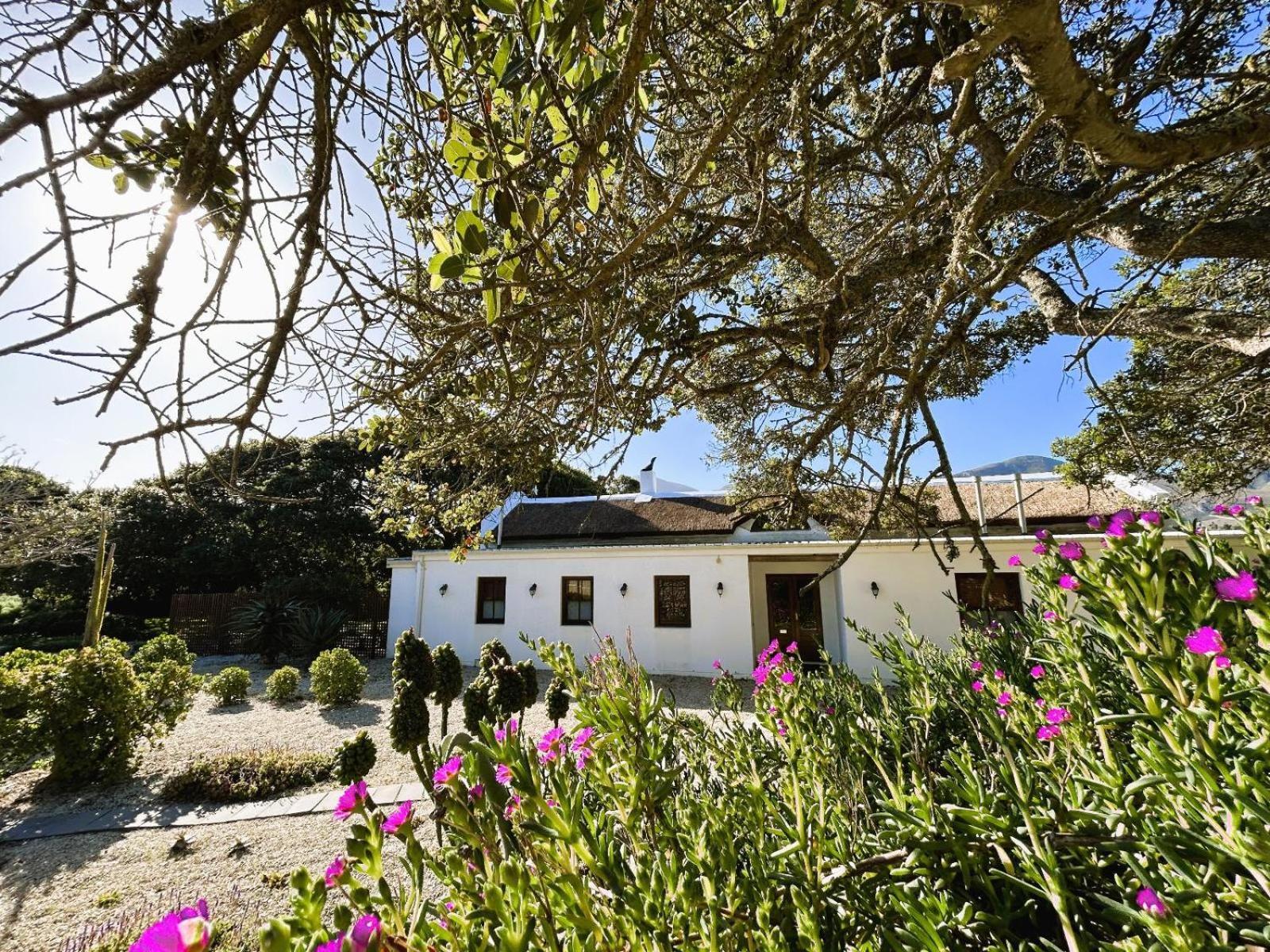Springfontein Wine Estate Hotel Stanford Kültér fotó