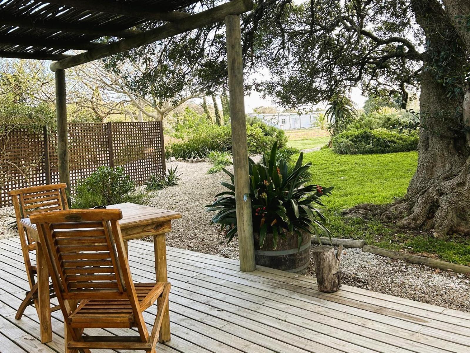 Springfontein Wine Estate Hotel Stanford Szoba fotó